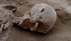 126172112016_turkana-smashed-skull