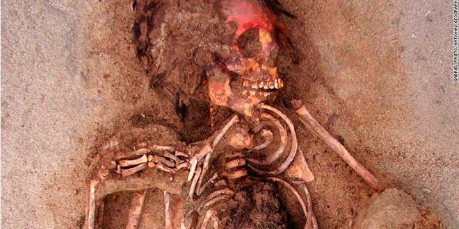 This May 10, 2011 handout photo provided by National Geographic shows how the face of this child was painted with a red cinnabar-based pigment, at the Huanchaquito-Las Llamas site near Trujillo, Peru. Archaeologists hypothesize that the chest was cut open to remove the heart as part the sacrificial ceremony. "Skeletal evidence clearly indicates that the children and camelids were sacrificed by cutting open the thoracic cavity," the researchers reported. (Gabriel Prieto/National Geographic via AP)