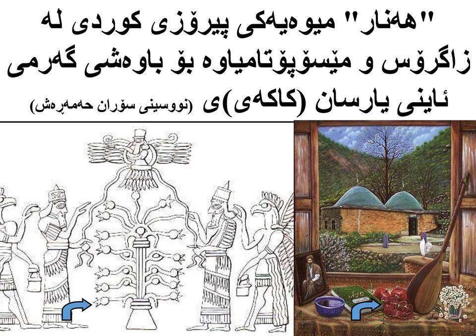 “هەنار” میوەیەکی پیرۆزی کوردی لە زاگرۆس و مێسۆپۆتامیاوە بۆ باوەشی گەرمی ئاینی یارسان (کاکەیی) ی.